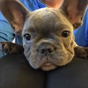 Meet your Posher, Nancy